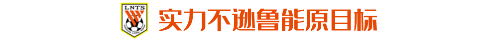 鲁能网购新援：佩莱“大舅哥”，脾气不好惹？