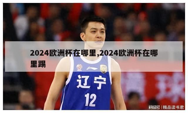 2024欧洲杯在哪里,2024欧洲杯在哪里踢