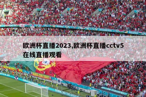 欧洲杯直播2023,欧洲杯直播cctv5在线直播观看