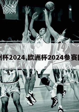 欧洲杯2024,欧洲杯2024参赛国家