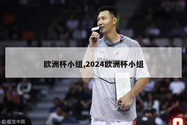 欧洲杯小组,2024欧洲杯小组