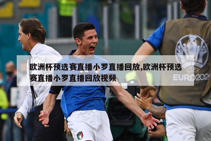 欧洲杯预选赛直播小罗直播回放,欧洲杯预选赛直播小罗直播回放视频