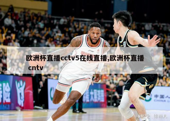 欧洲杯直播cctv5在线直播,欧洲杯直播 cntv