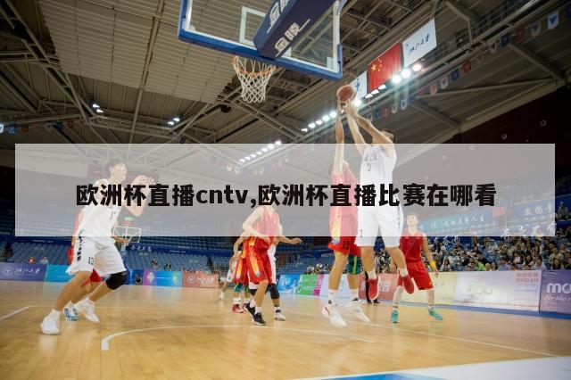 欧洲杯直播cntv,欧洲杯直播比赛在哪看