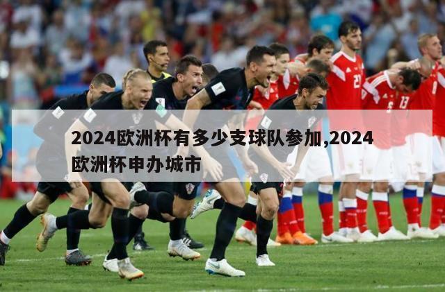 2024欧洲杯有多少支球队参加,2024欧洲杯申办城市