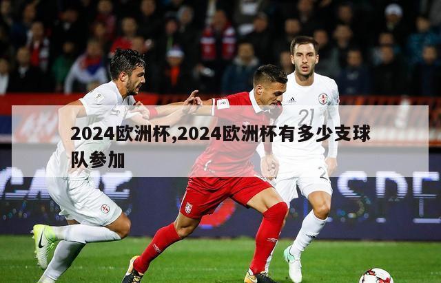 2024欧洲杯,2024欧洲杯有多少支球队参加