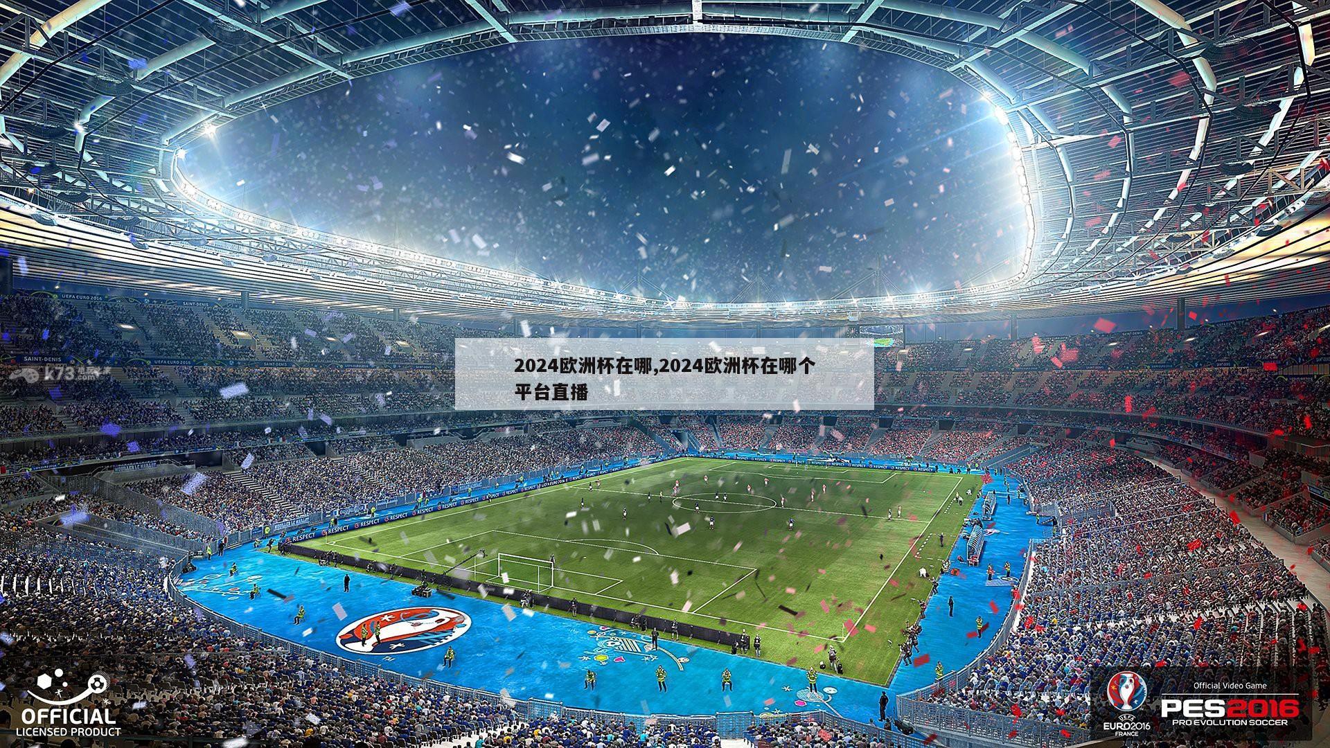 2024欧洲杯在哪,2024欧洲杯在哪个平台直播